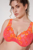 PrimaDonna Devdaha Half Padded Plunge Bra